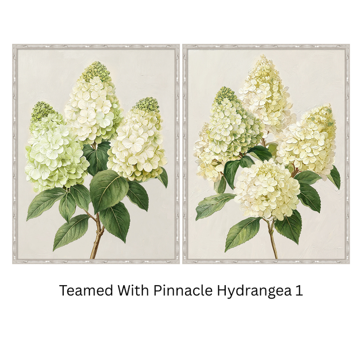 Pinnacle Hydrangea 2 Medium Canvas in Bamboo Frame