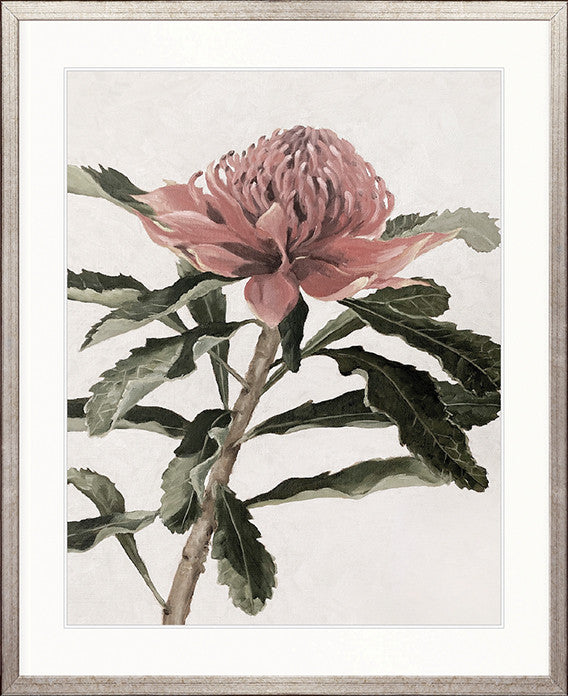 Native Bloom No 4 | Designer Boys Art