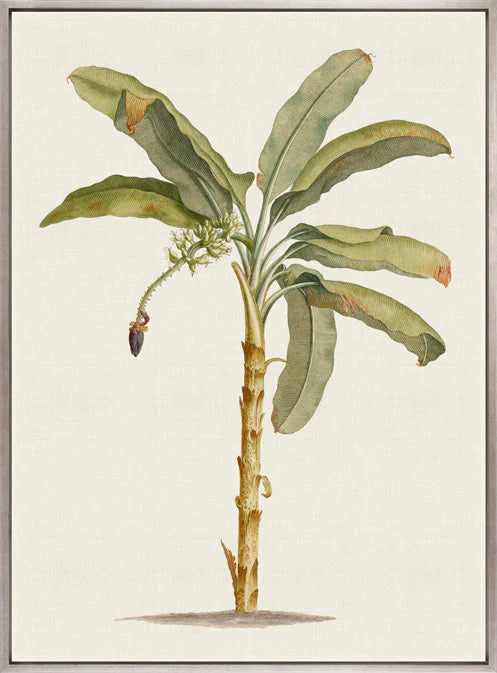 Tropical Splendour No 3 | Designer Boys Art