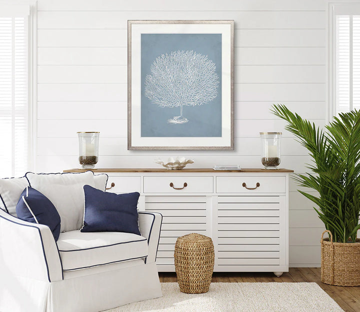 Curious Coral Delight No 7 | Designer Boys Art