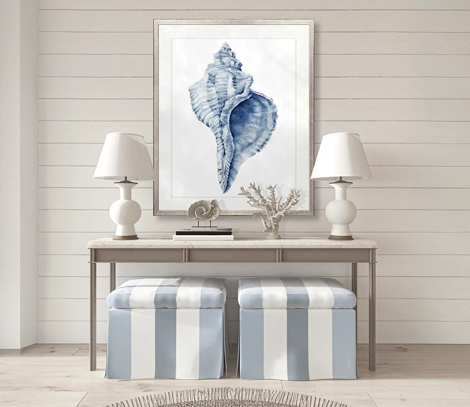 Exquisite Shell No 3 | Designer Boys Art