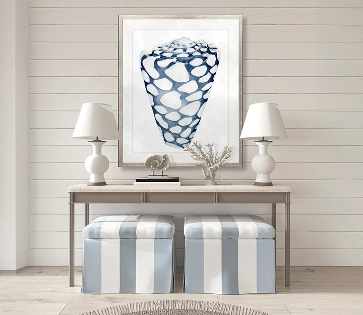 Exquisite Shell No 6 | Designer Boys Art