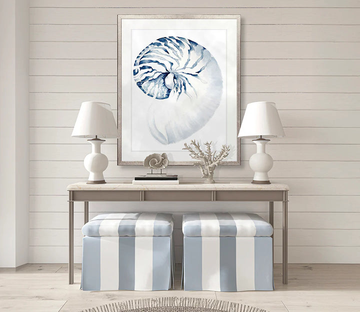 Exquisite Shell No 2 | Designer Boys Art