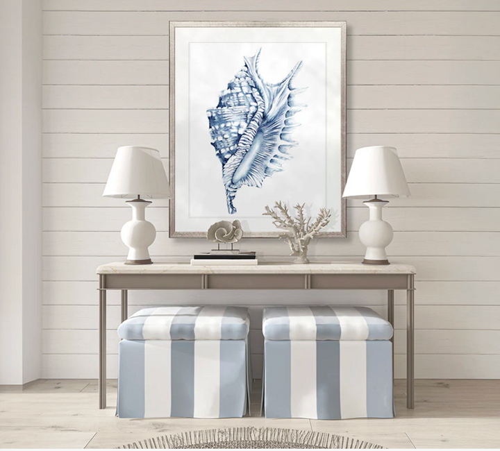 Exquisite Shell No 4 | Designer Boys Art