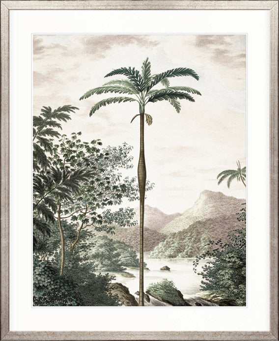 Vintage Palm Study No 2 | Designer Boys Art