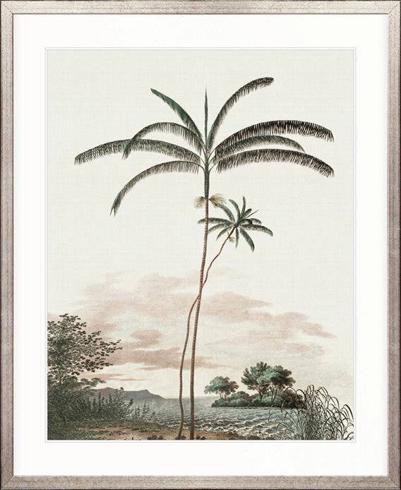 Vintage Palm Study No 4 | Designer Boys Art