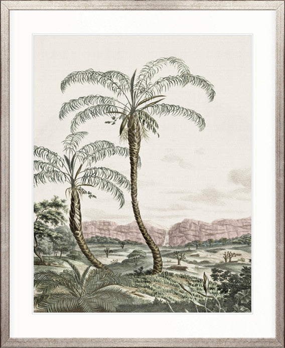 Vintage Palm Study No 5 | Designer Boys Art