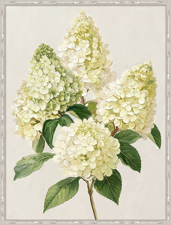 Pinnacle Hydrangea 2 Medium Canvas in Bamboo Frame