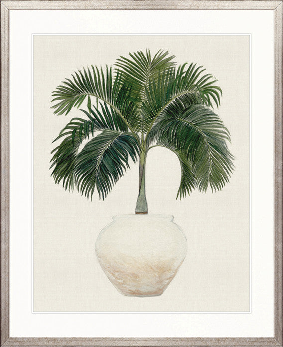 Palm Beauty No 1 | Designer Boys Arts