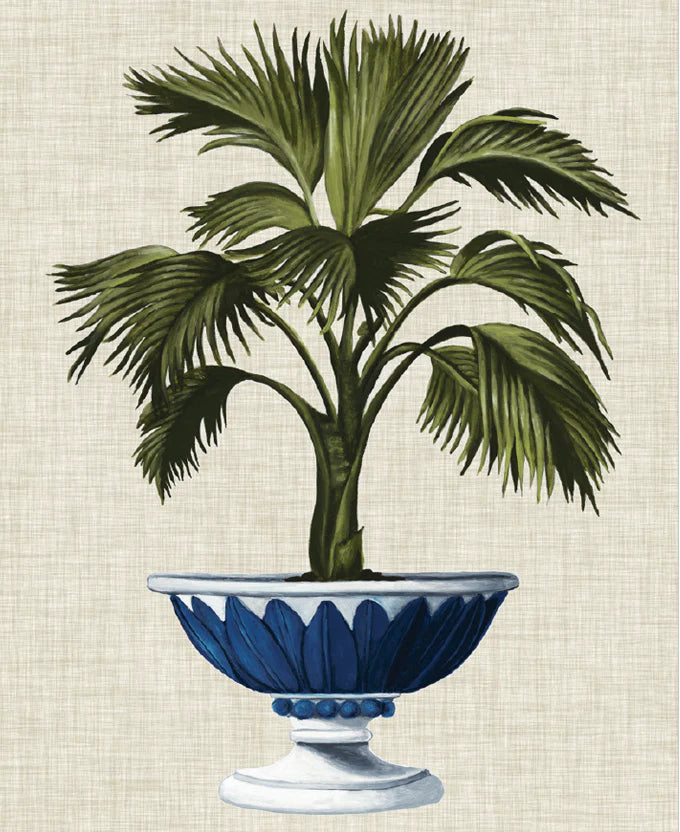 Ornate Palm No 1 | Designer Boys Art