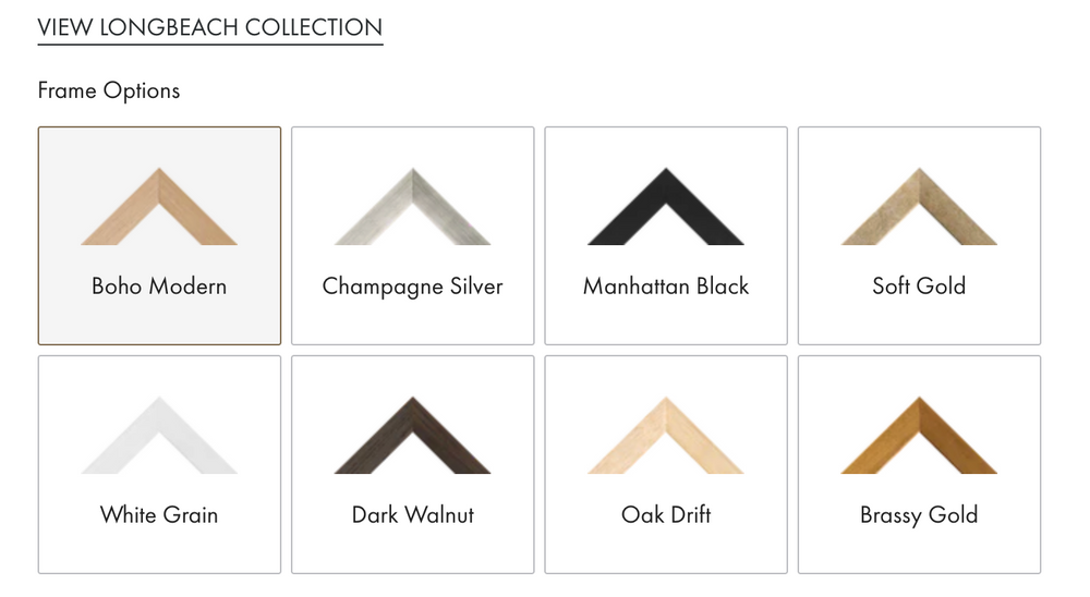 Coral Motif No 1 | Designer Boys Art