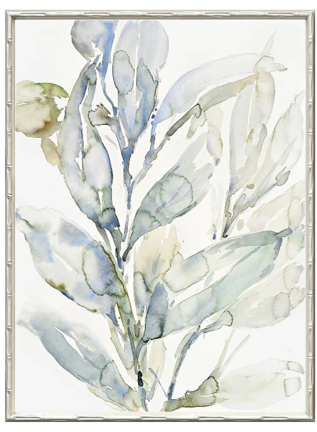 Saltwater Botanicals 2 Canvas in Bamboo Frame