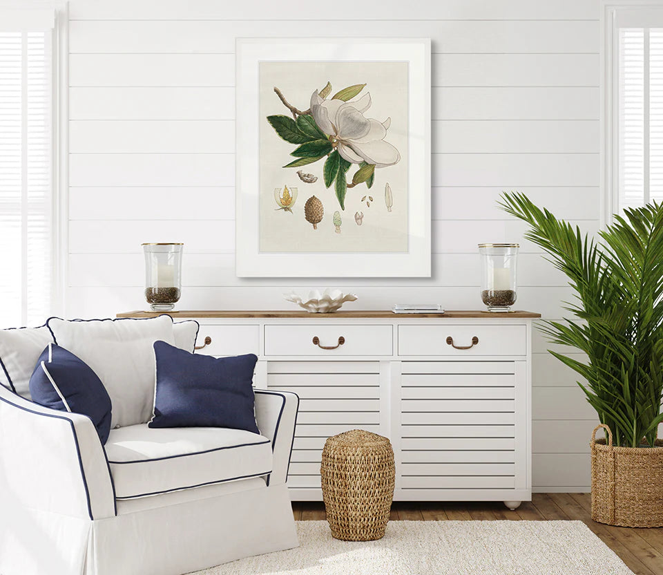 Classic Botanical Study No 2 | Designer Boys Art