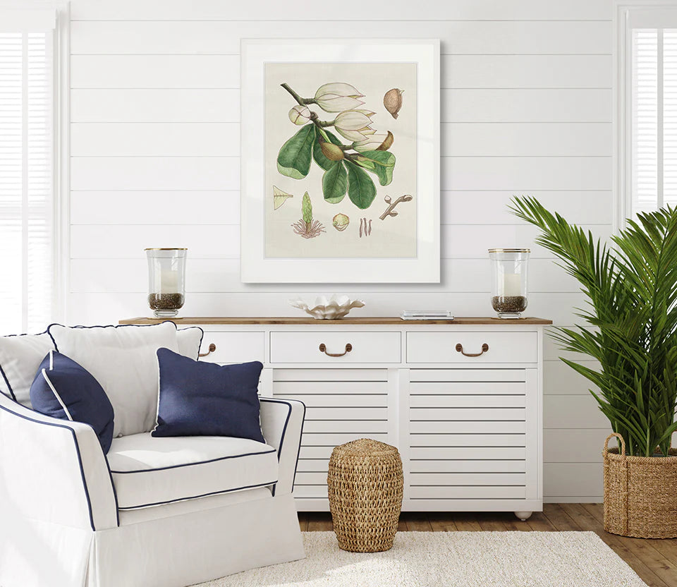 Classic Botanical Study No 3 | Designer Boys Art