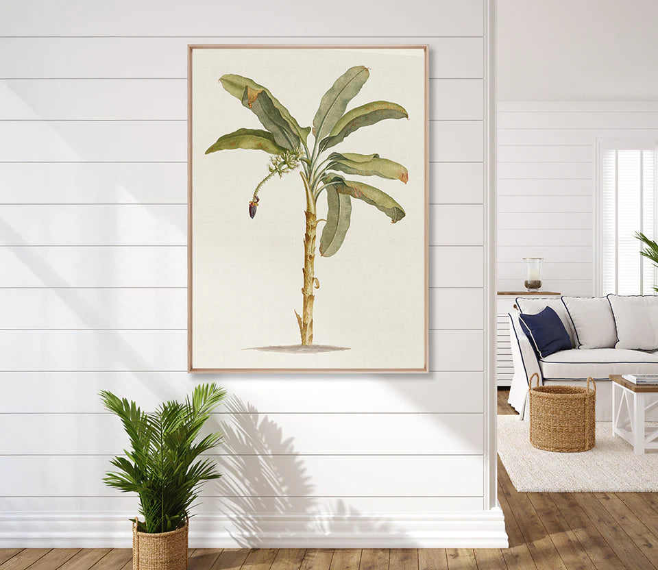 Tropical Splendour No 3 | Designer Boys Art