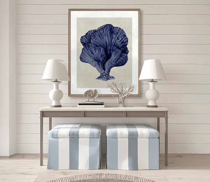 Coral Splendour No 8 | Designer Boys Art