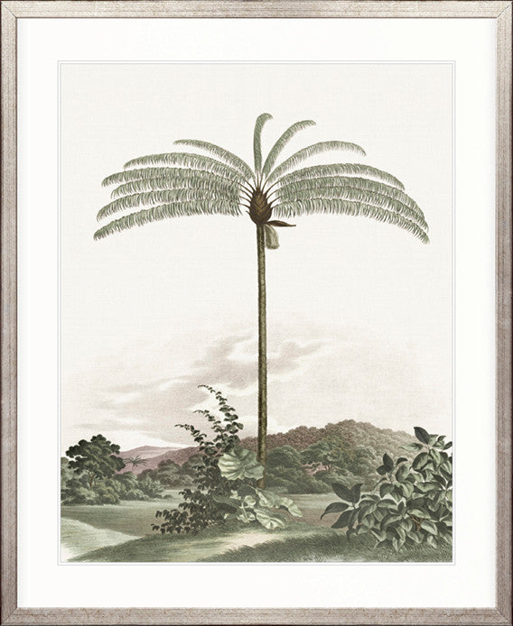 Vintage Palm Study No 1 | Designer Boys Art