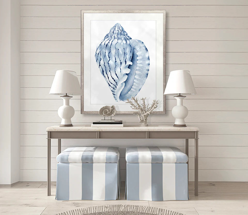 Exquisite Shell No 5 | Designer Boys Art