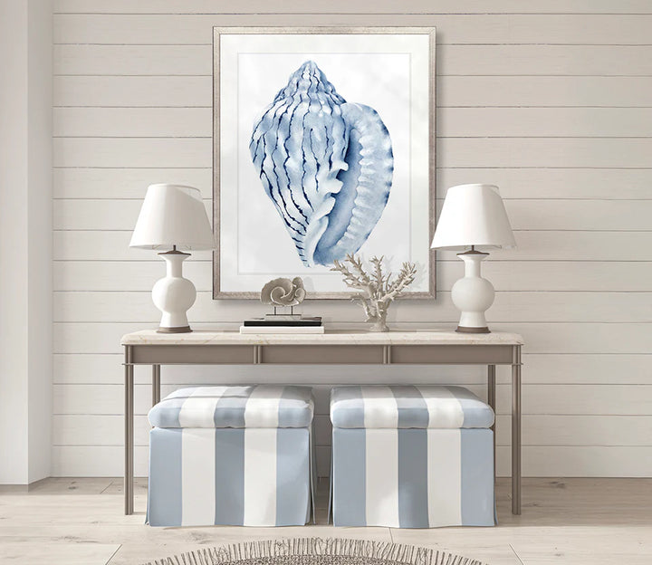 Exquisite Shell No 5 | Designer Boys Art