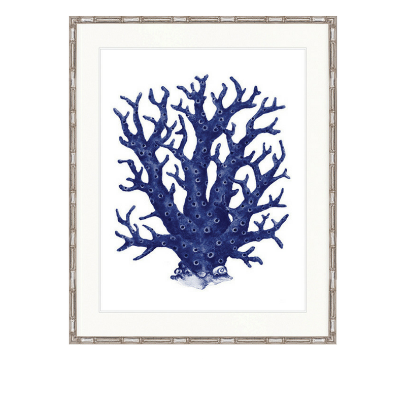 Indigo Coral Splendour Vii By Designer Boys