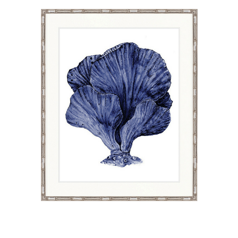 Coral Splendour No 8 | Designer Boys Art