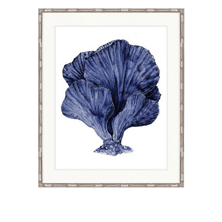 Coral Splendour No 8 | Designer Boys Art