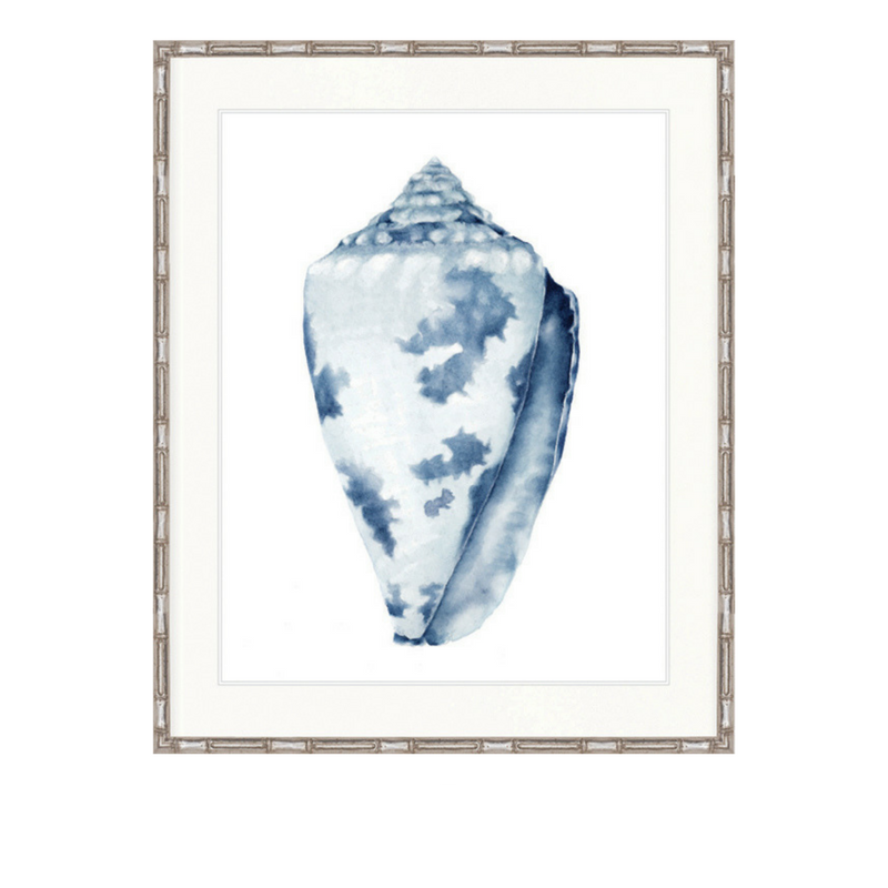 Exquisite Shell No 1 | Designer Boys Art