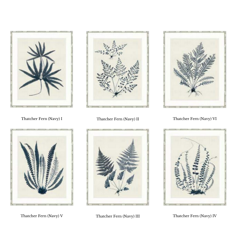 Thatcher Fern Navy Framed Artwork Collection