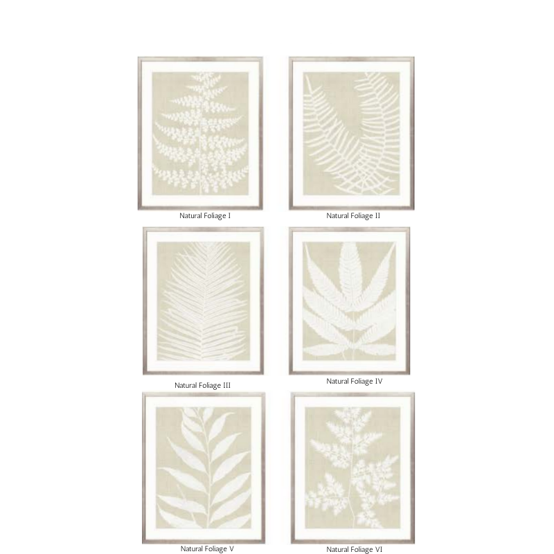 Sinjala Foliage Framed Artwork Collection