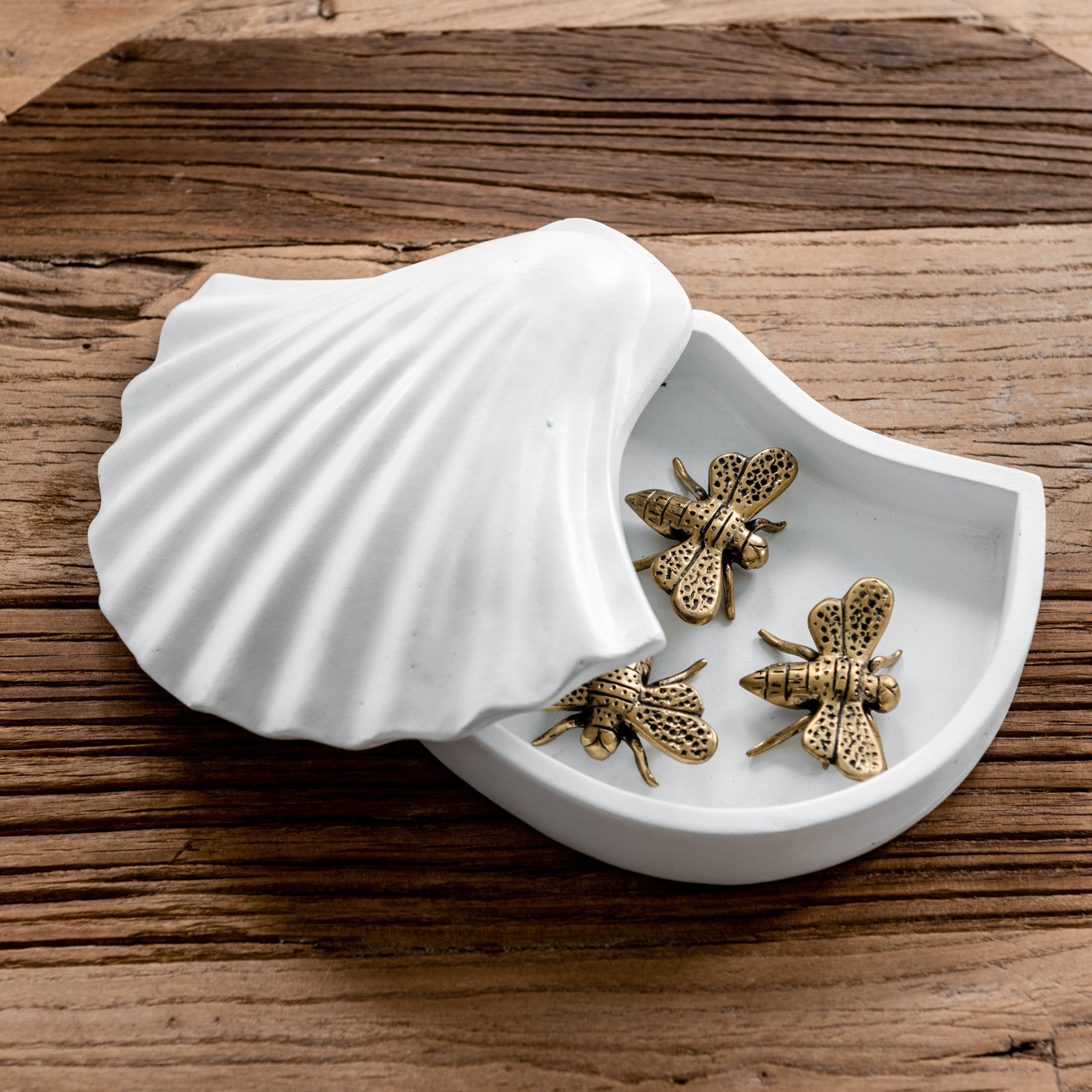 Seashells Trinket Box - White