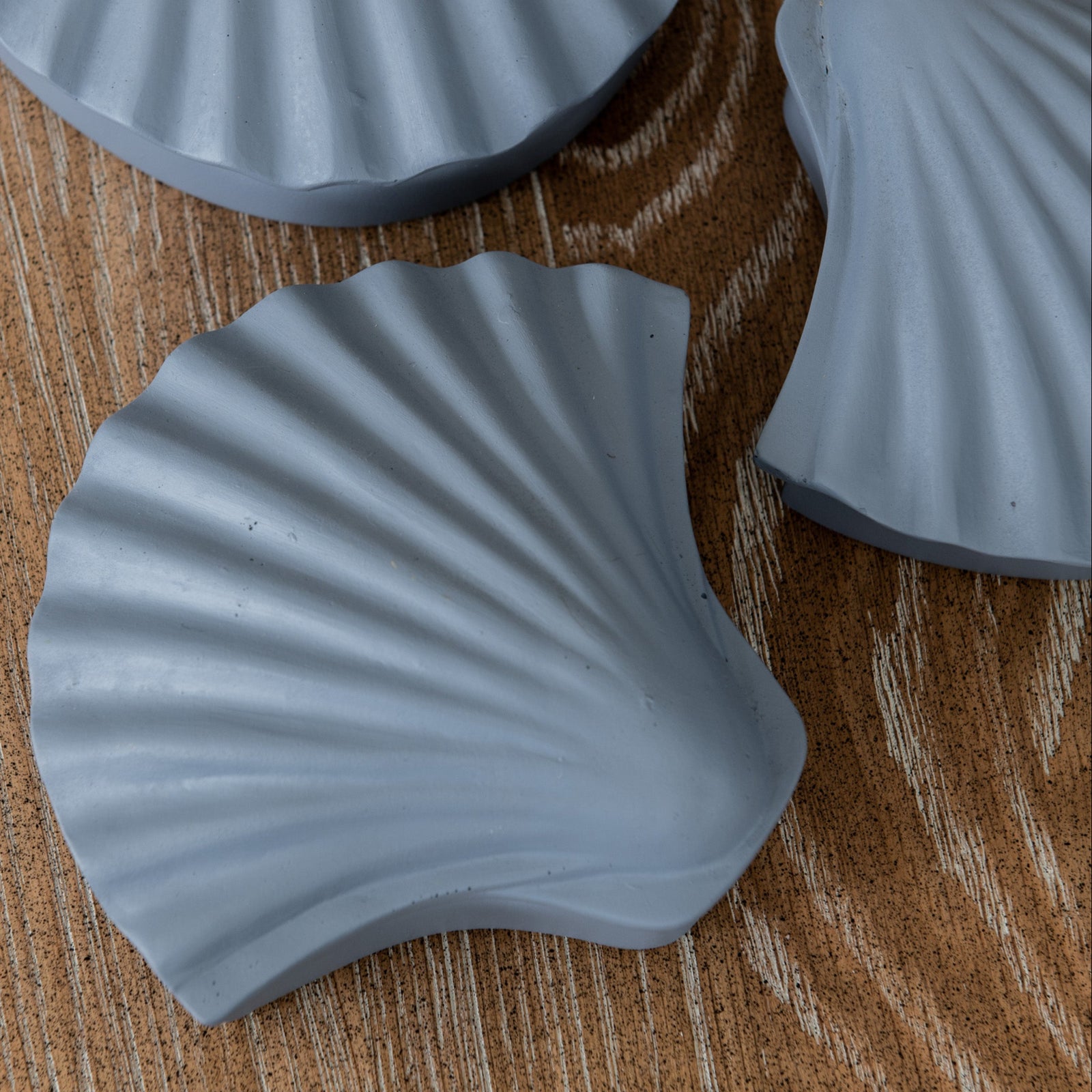 Seashells Trinket Box- Blue