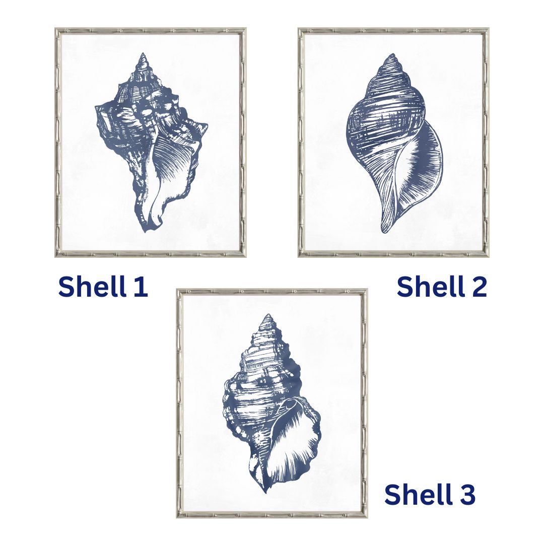 Shell 1 Small Canvas In Bamboo Champagne Frame