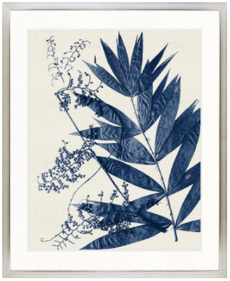 Delicate Frond No 6 | Designer Boys Art
