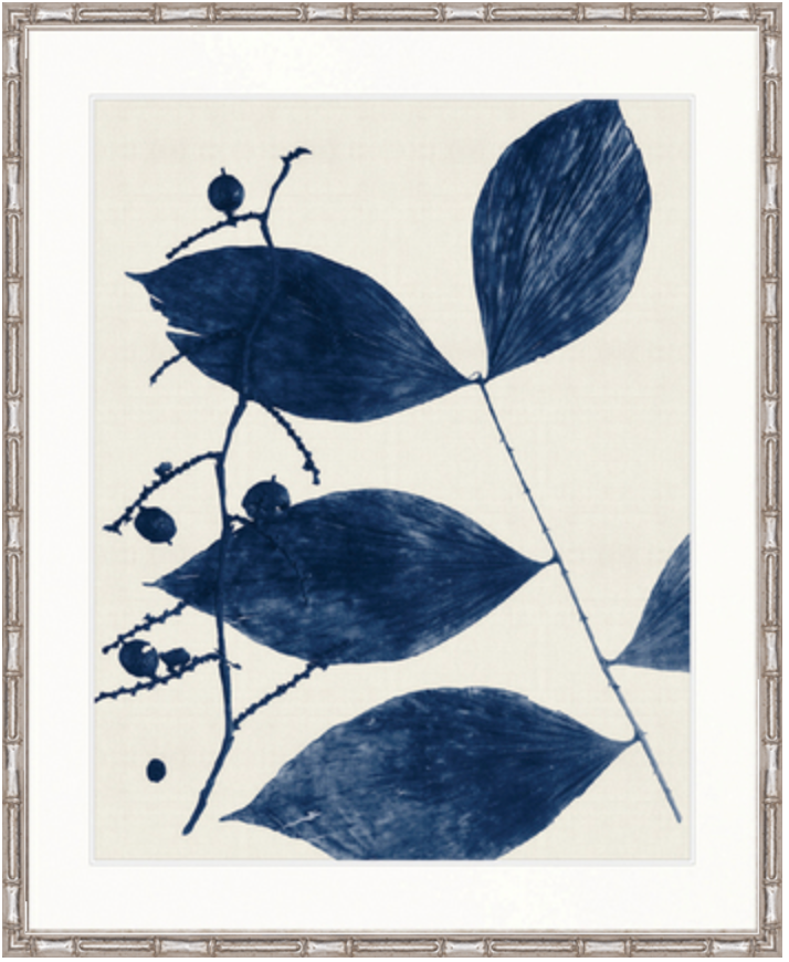 Delicate Frond Ii Indigo