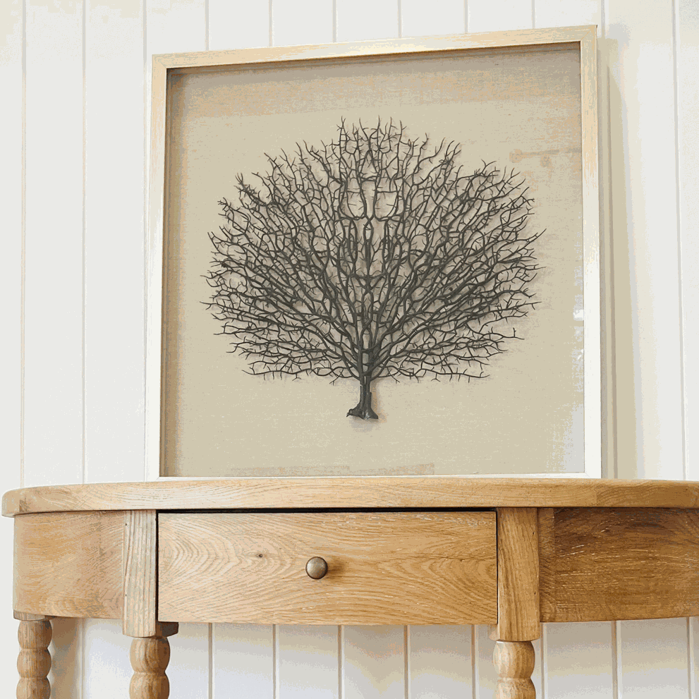 Framed Sea Fan- Champagne Frame