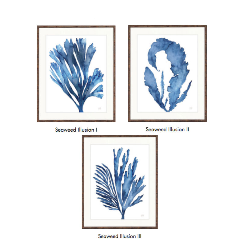 Seaweed Illusion Framed Artwork Collection